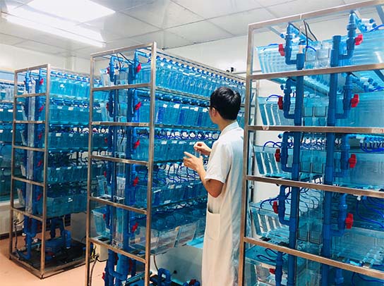 OB体育.(中国)官方网站